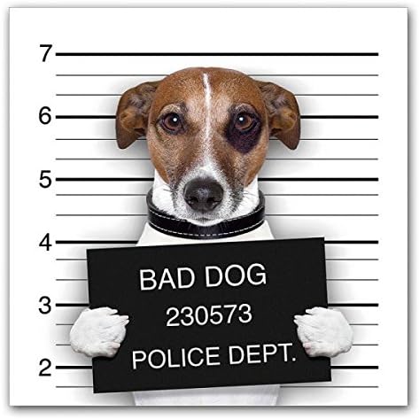 HiDef Art Glass ジャックラッセルテリア Oliver Gal